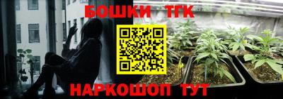 соль ск Пушкино
