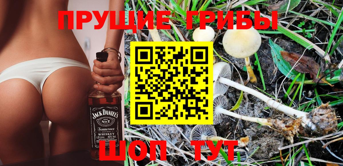 Стрежевой  Галлюциногенные грибы Psilocybine cubensis  Вход с VPN 