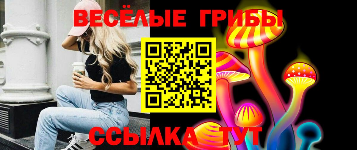 Псилоцибиновые грибы Psilocybe Стрежевой
